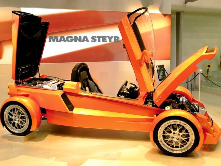  Magna Steyr MILA 2005 года  (фото 4 из 6)